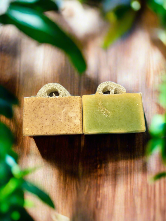 Loofah Soap- Tallow & Goats Milk