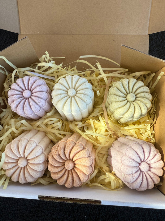 Natural Goats Milk Bath Bombs- Minis